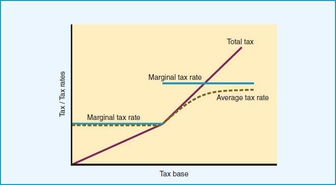 What Type of Tax System?
