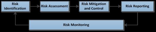 C: Risk Profile Risk Management Objectives and Risk Policies The Company s risk management strategy is designed to ensure that policyholders are appropriately protected by ensuring that capital is