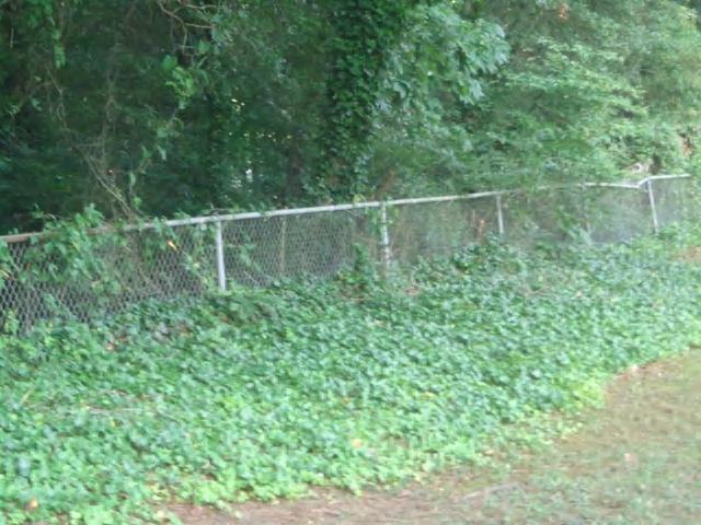 System: G2040 - Fencing & Guardrails Location: Distress: Category: Priority: Correction: Qty: Unit of Measure: Estimate: Assessor Name: Date Created: Site Beyond Service Life Deferred Maintenance 3