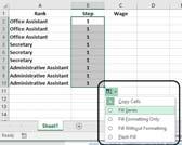 select Format Cells 11 Steps to Create a Basic Salary schedule in Excel 3. Enter all possible Steps for each position.