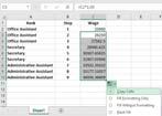 Steps to Create a Basic Salary schedule in Excel 4. Enter the salary for each step in the "Wage" column.