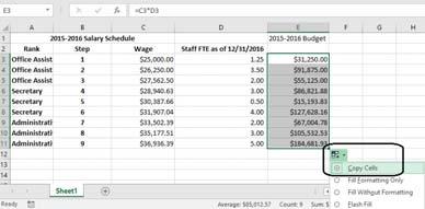 Create Basic Salary Schedule projection or budget Use Auto Fill to copy formula down in Budget Column 16 Use