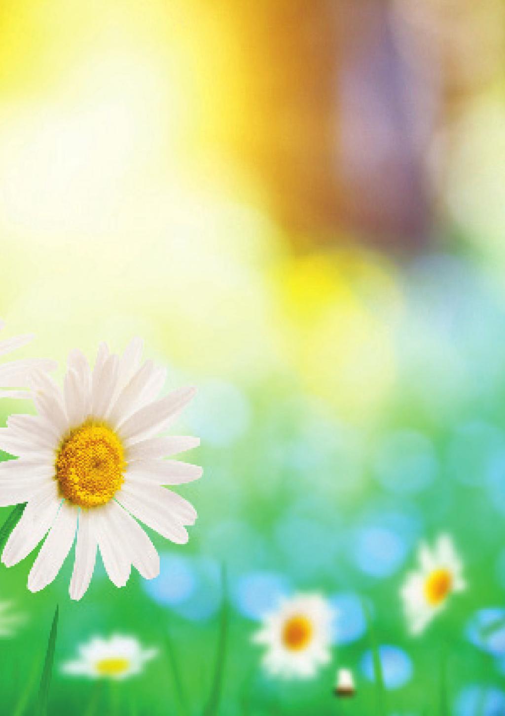 Age UK LPFA Pensioner spring newsletter Age UK offers information and advice across a range of free guides that help to answer many questions on issue affecting people aged 60 years and over.