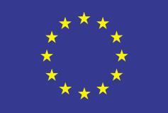 5.2 EU visual identity rules 5.2.1 The EU emblem The common element branding all EU-financed external actions is the EU emblem: 11 Regardless of the scale, scope or objective of an action, the EU