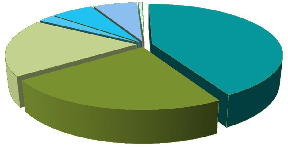GOVERNMENT SECTOR The government sector in 2013 represented 29% of AustLII s top identifiable users.