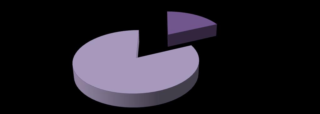 Graf 2 Vlasničko-upravljačka struktura poduzeća DVOJE : TOP MENADŽER- VLASNIK; 18,18% DEVETERO - ZAPOSLENIK; 82,82% Izvor : Autor prema podacima iz ankete ( I - 3) Prema vrsti poslova i