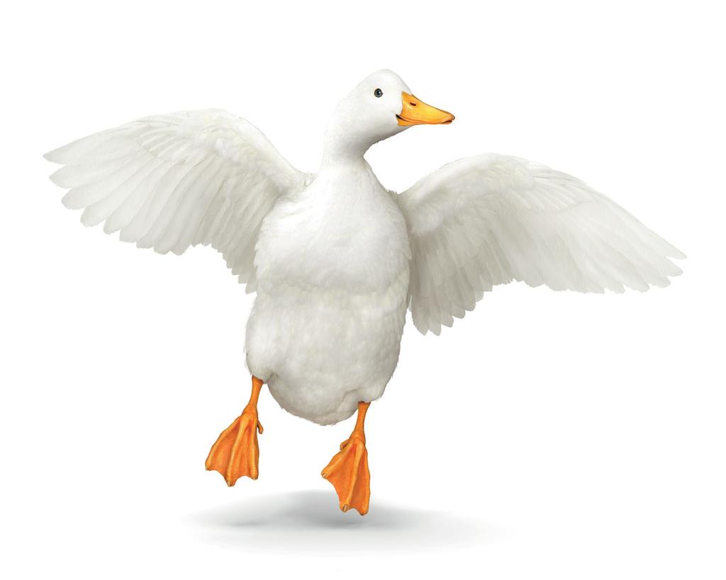 AFLAC GROUP HOSPITAL INDEMNITY INSURANCE PLAN 2 Policy Series CA8500-MP HI G The plan that can help with expenses and protect your savings. Does your major medical insurance cover all of your bills?