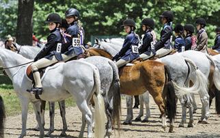 Farriers/blacksmiths Horse associations and clubs Horse shows Horse trainers Private horse owners Riding instructors Markel Corporation (NYSE MKL) is a holding