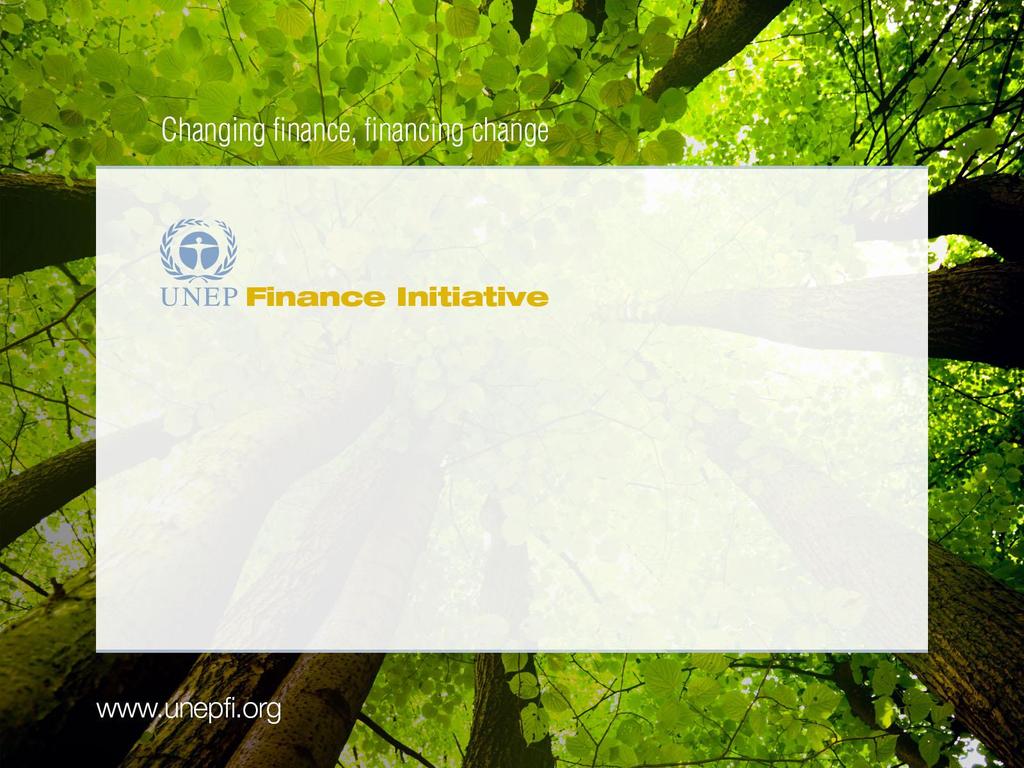 Introduction to the UNEP Finance