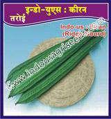 RIDGE GOURD Scientific Name : Beta Vulgaris Seed rate : 500-700 g per acre Spacing : With support 180-200 x 60 cm,without support 100-120 x 60 cm Sowing period : Kharif june to july,