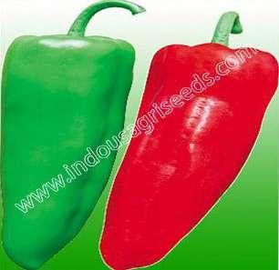 16-18 Fruit diameter (cm) : 5-7 Fruit weight (gm) : 120-150 Fruit color (unripe) : Green Fruit color (maturity) : Red Skin : Medium thick