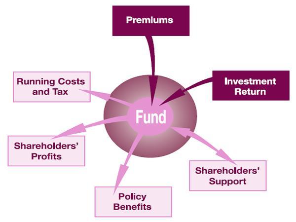 How does this fund work? The payments you make into your policy ( the premiums ) go into this fund. Your money is pooled together with the premiums of the other policyholders who invest in this fund.