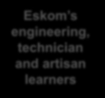 engineering, technician and artisan learners 2 598 2