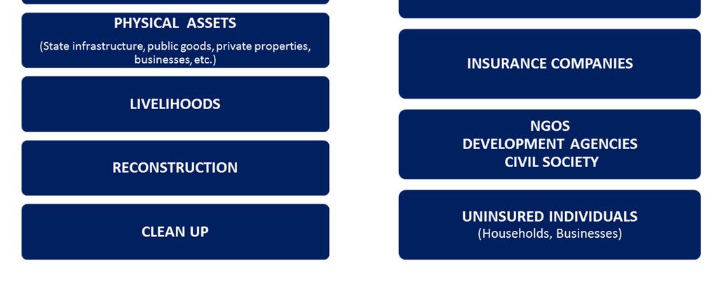 total #homes /#total insurable homes) #SMEs /MSMEs insured against disaster (vs.