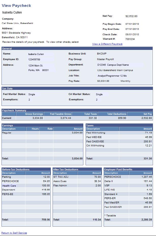 III. View Paycheck Page specific page section