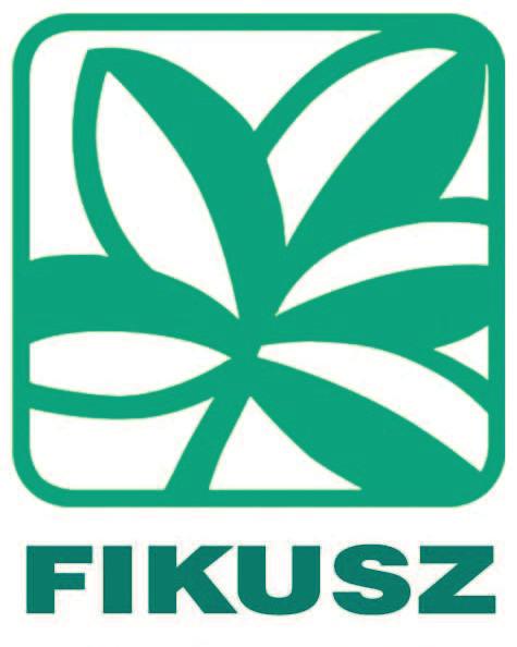 Proceedings of FIKUSZ 14 Symposium for Young Researchers, 2014, 285-292 pp The Author(s). Conference Proceedings compilation Obuda University Keleti Faculty of Business and Management 2014.