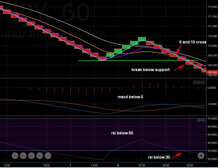 Image 10.5. Short position based on breakout and confirmation from indicators Same trade, the trend is strong.