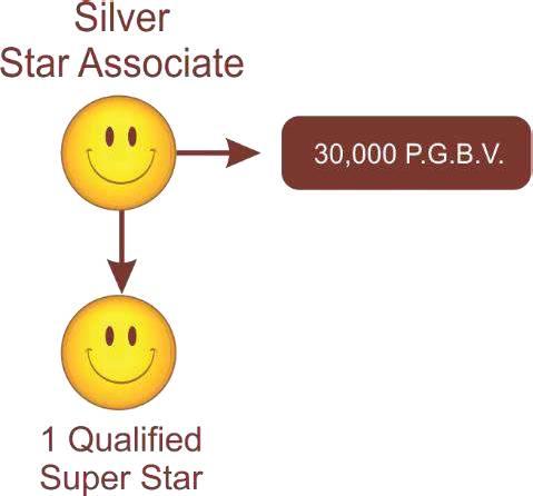 Silver Star Associate Award Profit Level - 38% 1 Qualified Super Star + 30,000 PGBV in