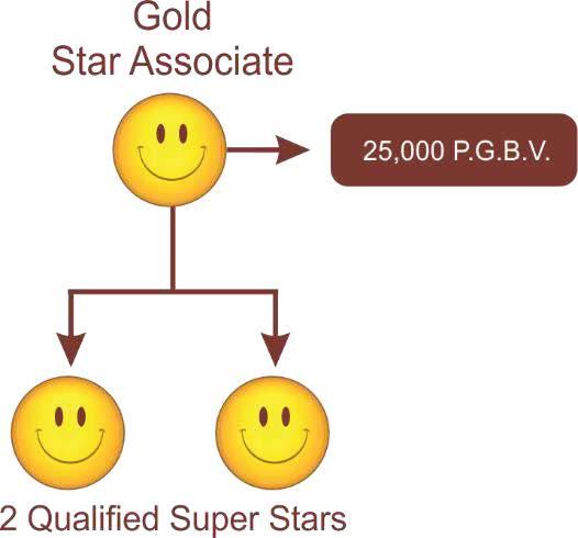 Gold Star Associate Profit Level 41% 2 Qualified Super Star + 25,000 PGBV in same month.