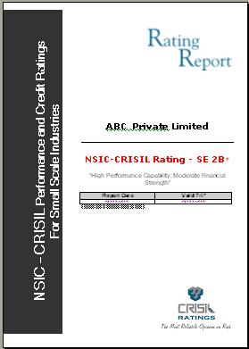 Detailed report Designed to facilitate appraisal by banks CONTENTS NSIC-CRISIL PERFORMANCE AND CREDIT RATING GRID FACT SHEET STRENGTH AND RISK FACTORS MANAGEMENT PROFILE FUTURE PLANS OWNERSHIP