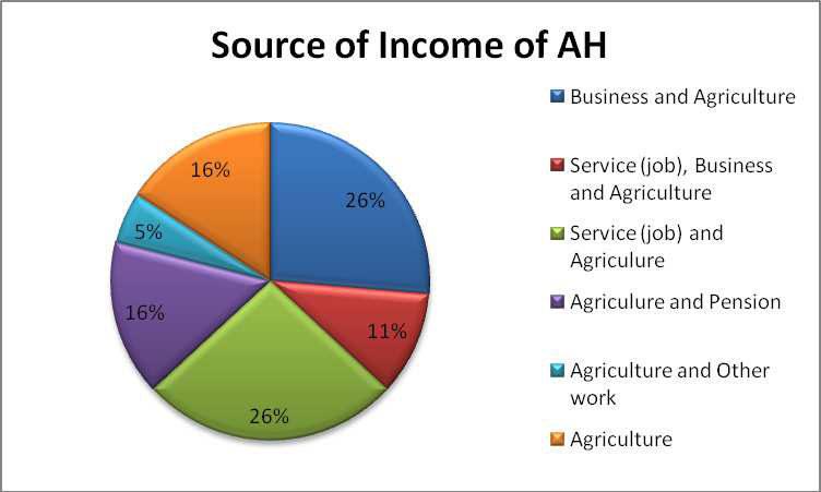 Source: Census and Socio-economic survey Total 19 100 Figure 4: Source of income of the AHs 31.