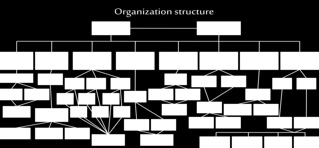 Management Organization Structure The Management Organization