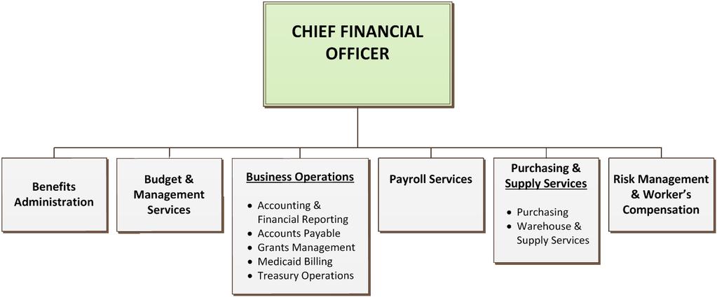 Chief Executive Officer s PROPOSED