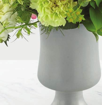 FLORAL RECIPE STANDARD DELUXE PREMIUM Green Standard Carnations