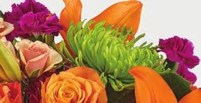 These two lovely arrangements are comprised of