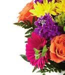 99 ~ 6 of each KQ 1879 The FTD Natural Charm Bouquet (D17/D18) The FTD Passion Picks Bouquet (D19/D20) BIRTHDAY COMBO