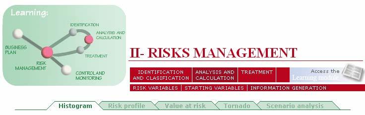 Generation of Reports Lastly, the system generates the reports which will indicate the risks associated with the business plan: Histogram Risk Profile Value at Risk Tornado scenario analysis The