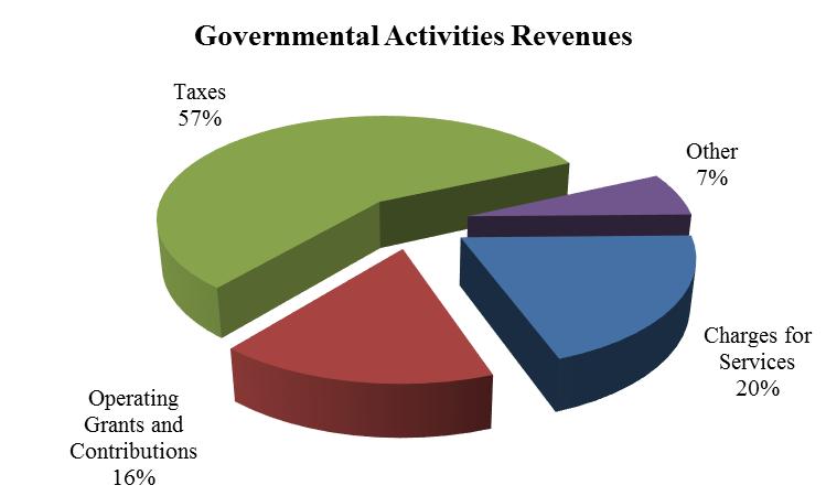 The following chart summarizes the revenue sources for the