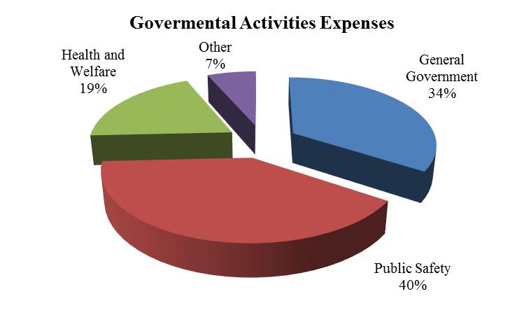 year end: The following chart summarizes the expenses for the 