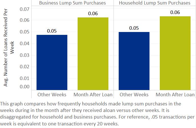 The loans also enabled households to make more frequent lump sum expenditures.