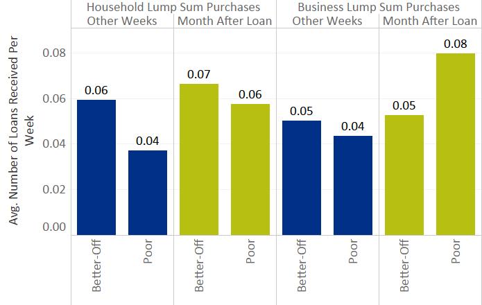 Figure 28: Household and Business Lump Sum Purchases by Loan Month and Wealth Group The data show that better-off and poor households allocated the resources from