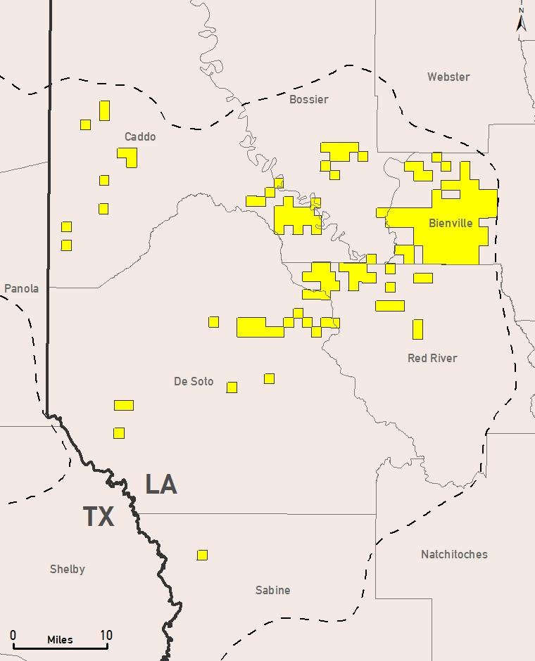 Haynesville Profile (1) Net acres 50,300 Gross operated producing wells (2) 133 Average WI/average