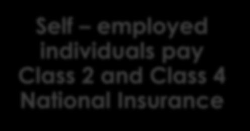 Self employed individuals pay Class 2 and Class 4 National