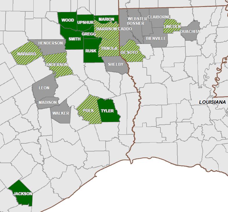 East Texas / North Louisiana: Diversity and Upside Asset Overview Asset Location Key Fields: Joaquin, Carthage, Willow Springs, East Henderson and the Terryville fields Primary Formations: Cotton