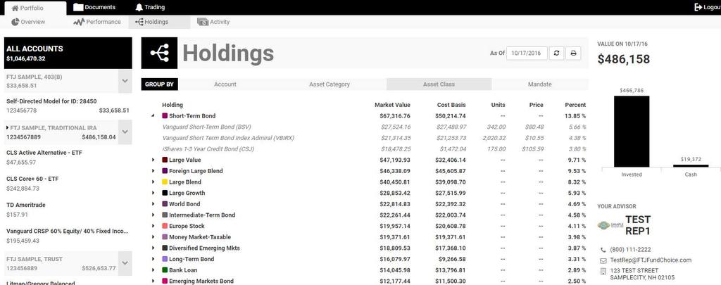 Account Review - Holdings Page 17 Holdings Like the Portfolio Overview and Performance Tabs, you can view by Accounts, Asset Category, Asset Class and Mandate.
