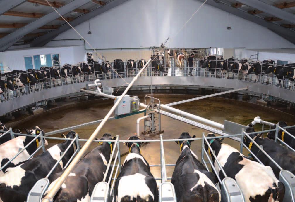 Group management report 23 72 dairy cows can be milked simultaneously on one milking carousel. (EBIT; operating result).