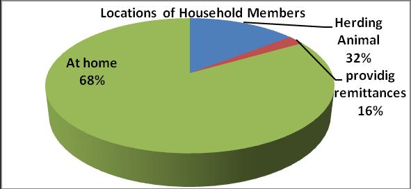 Figure 2, locations of household member 3.1.