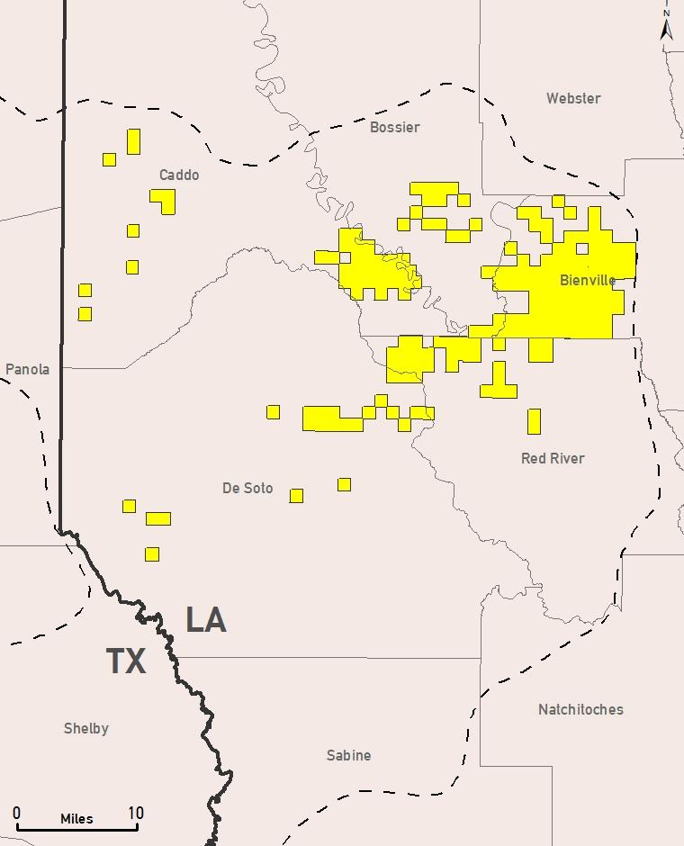Haynesville Profile (1) Net acres 48,000 Gross operated producing wells (2) 131 Average WI/average NRI 74/57%