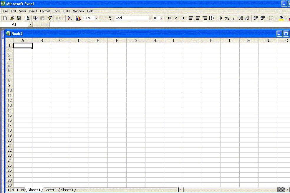 Using an Excel spreadsheet to calculate Andrew s 18th birthday costs Open a new