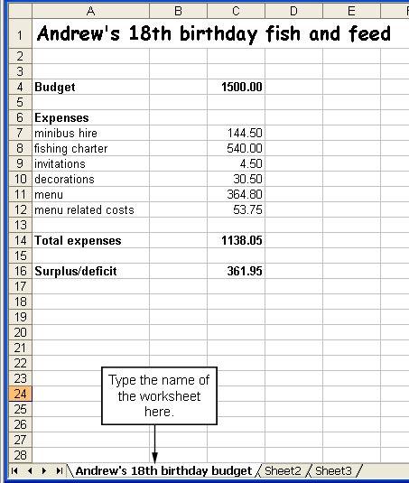 Type Andrew s 18th birthday budget on this tab. Save this file in case you need to refer to it as you are doing the next part of your task. Notice that Andrew has $361.