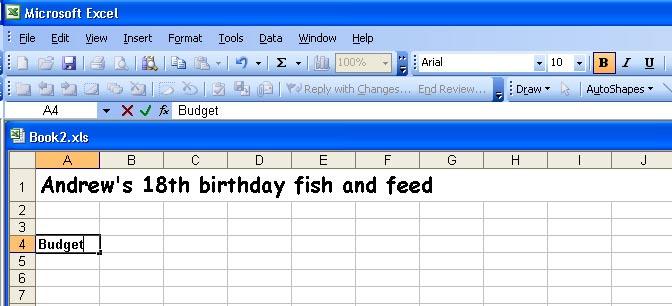 Planning an event Using an Excel spreadsheet to calculate Select cell A4 on your worksheet and bold (B) from the formatting toolbar, then type the word Budget (without the ) in cell A4.