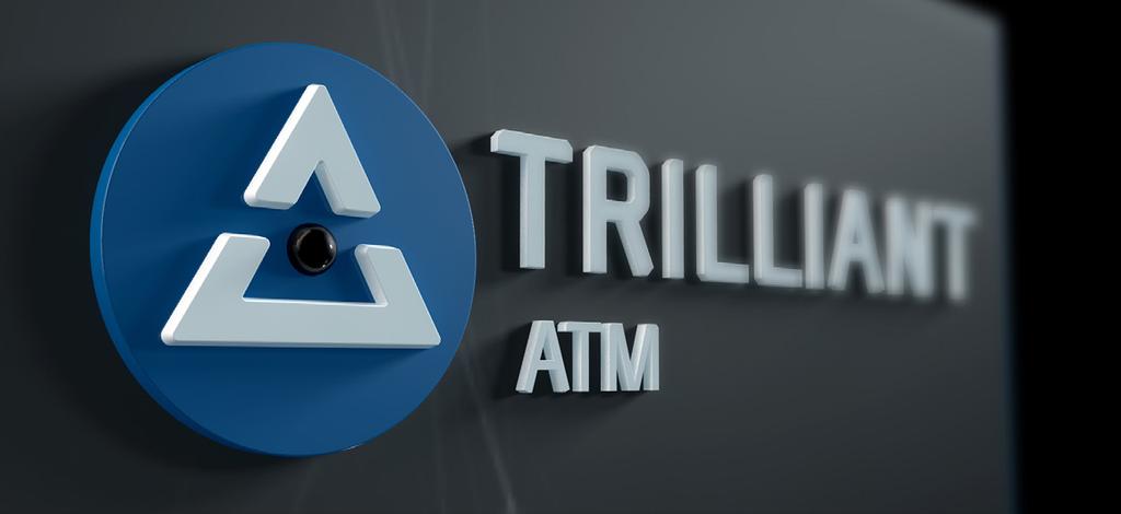 Trilliant Company Details 2.