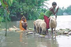 Bangladesh and Climate Change