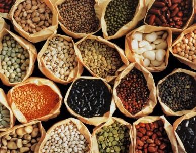 Pulses & Legumes Family QUALITY: We are wholly committed to build and sustain itself as an organization where quality shall be the hallmark of every aspect.