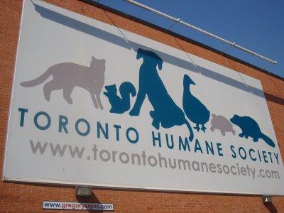 The Law in Ontario cont d Other cases that have followed Toronto Humane Society in Ontario: Re David Feldman Charitable