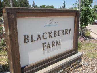 Fiscal Year 2015-2016 CAPITAL IMPROVEMENT PLAN Unfunded Blackberry Farm Play Area Improvements Budget Unit XXX-XX-XXX Priority: CIP Category: